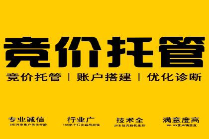 案例解析：SEO与SEM优化助力中小企业发展